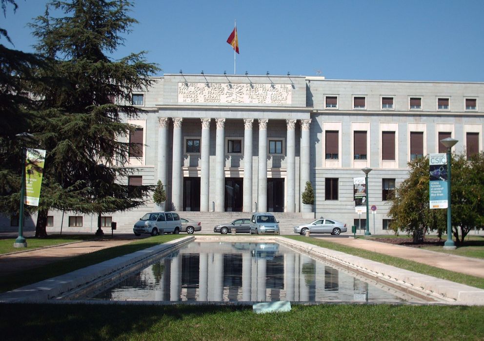 Consejo Superior de Investigaciones Científicas (CSIC)