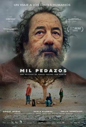 Mil pedazos