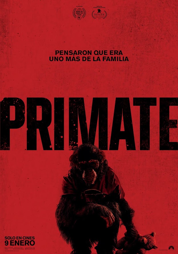 Primate