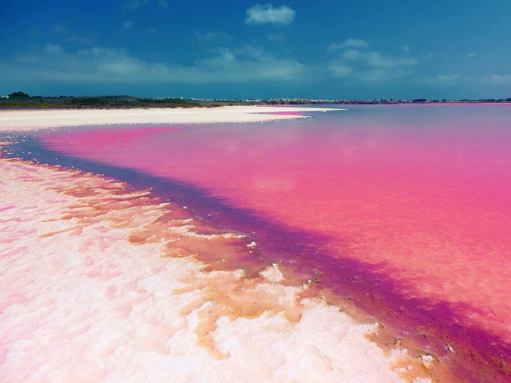 Salinas de Torrevieja