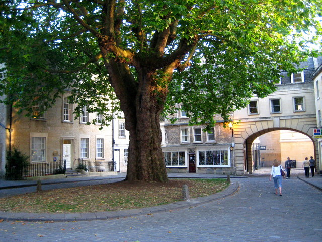 Abbey Green