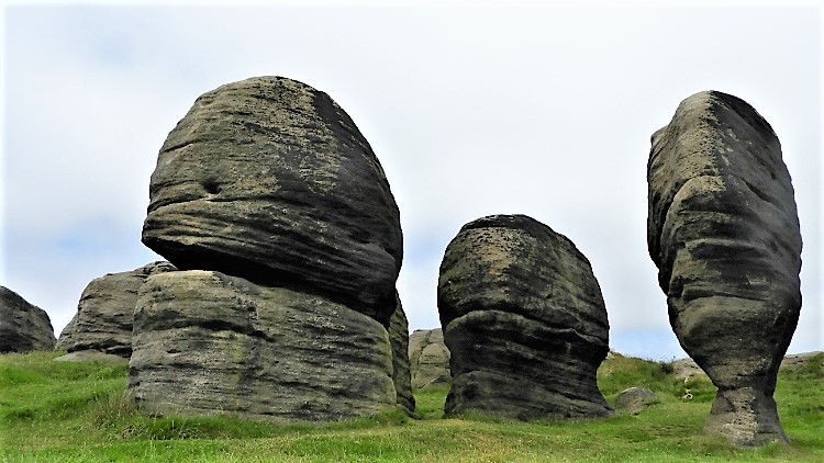 Bridestones Moor