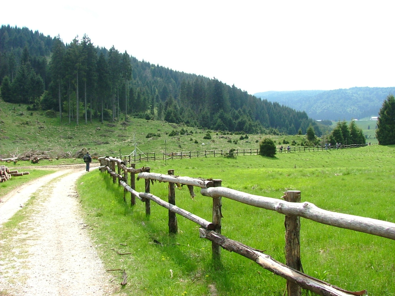 Cansiglio