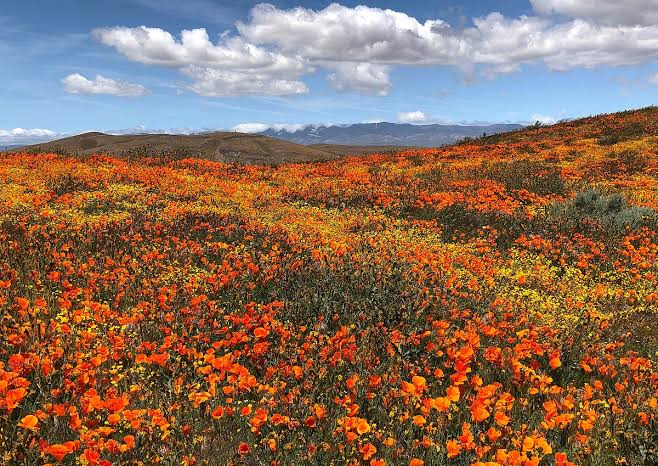 Lancaster – Antelope Valley