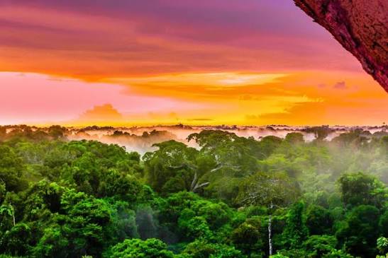 Amazonas, Leticia