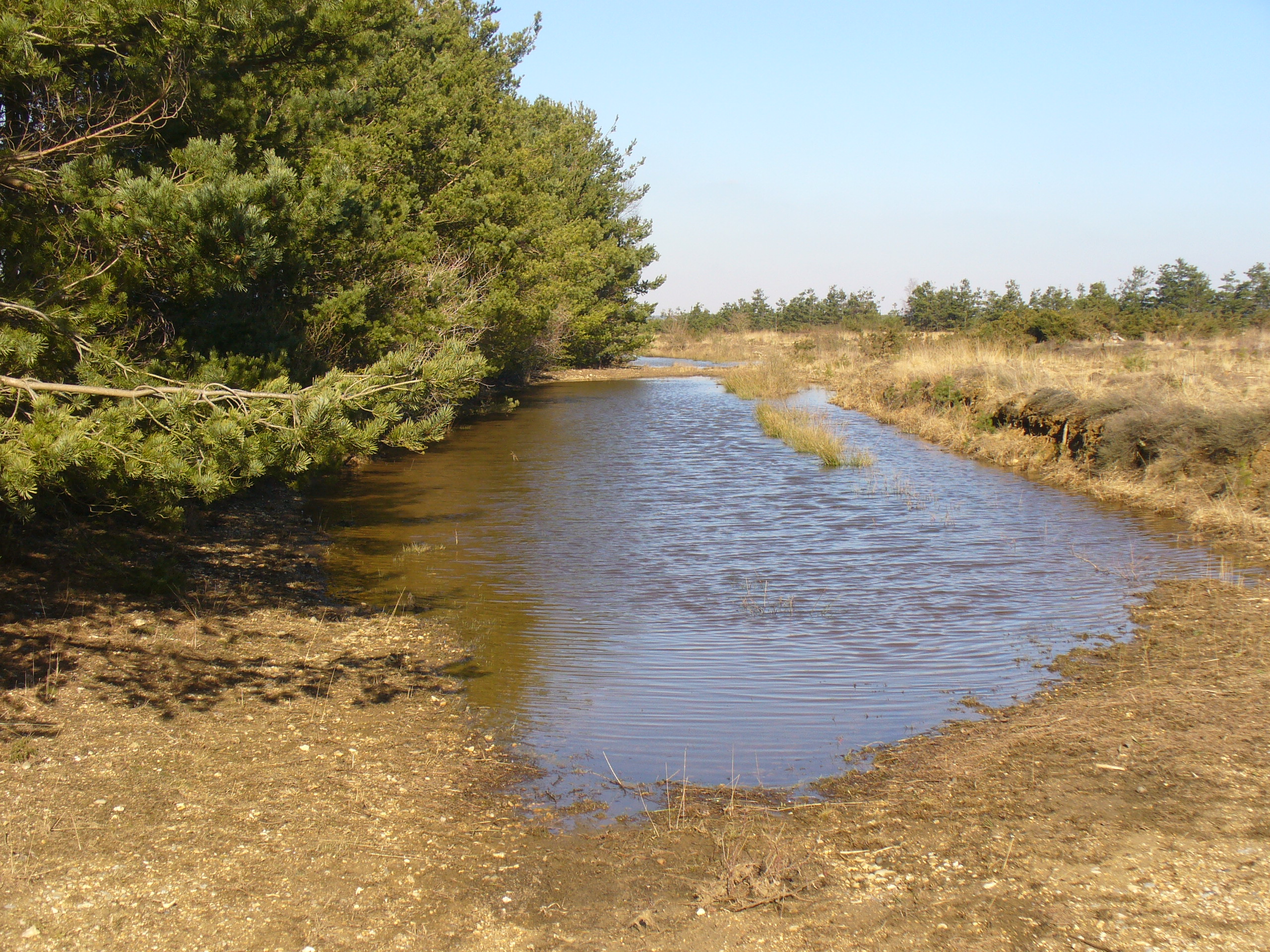 Long Valley