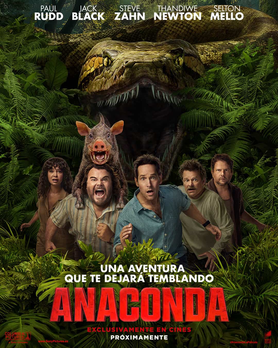 Anaconda